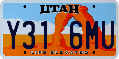 UT license plate Y316MU