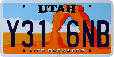 UT license plate Y316NB