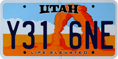 UT license plate Y316NE