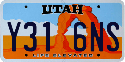 UT license plate Y316NS