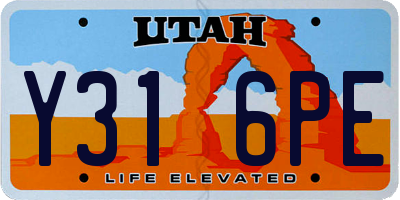 UT license plate Y316PE