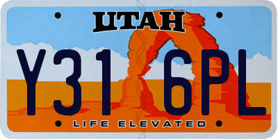 UT license plate Y316PL