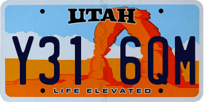 UT license plate Y316QM