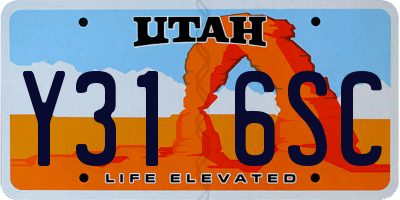 UT license plate Y316SC
