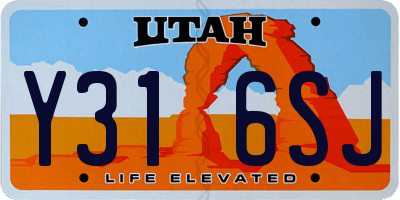 UT license plate Y316SJ