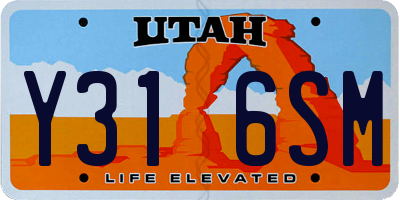 UT license plate Y316SM