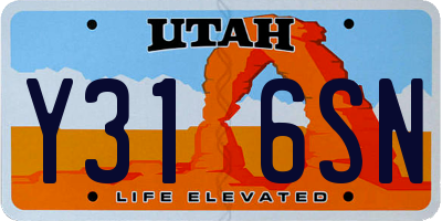 UT license plate Y316SN