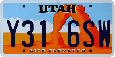 UT license plate Y316SW