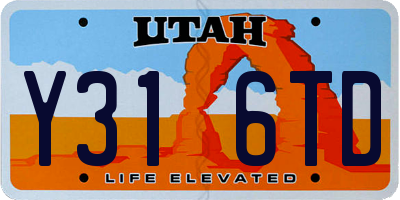 UT license plate Y316TD
