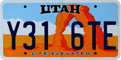 UT license plate Y316TE