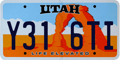 UT license plate Y316TI