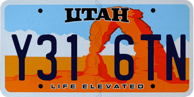 UT license plate Y316TN