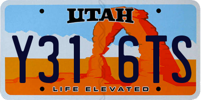UT license plate Y316TS