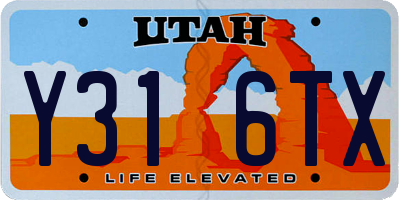 UT license plate Y316TX
