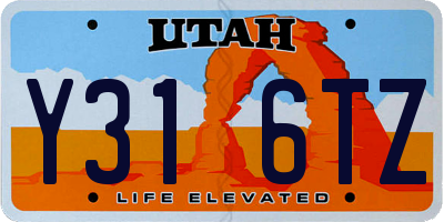 UT license plate Y316TZ