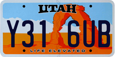 UT license plate Y316UB