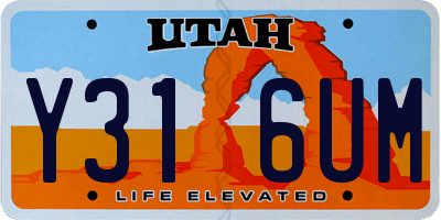 UT license plate Y316UM