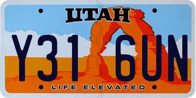 UT license plate Y316UN
