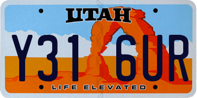 UT license plate Y316UR
