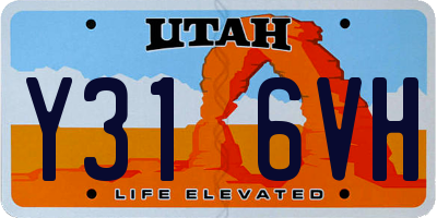 UT license plate Y316VH