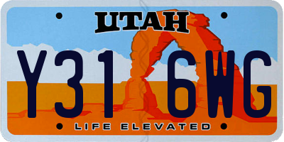 UT license plate Y316WG