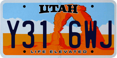 UT license plate Y316WJ