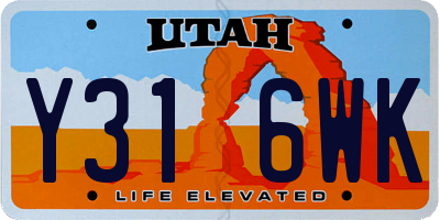UT license plate Y316WK
