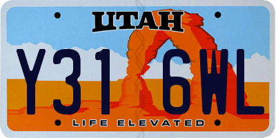 UT license plate Y316WL
