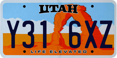 UT license plate Y316XZ