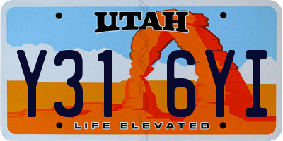 UT license plate Y316YI
