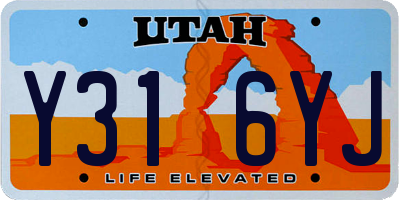 UT license plate Y316YJ