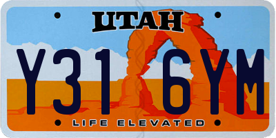UT license plate Y316YM