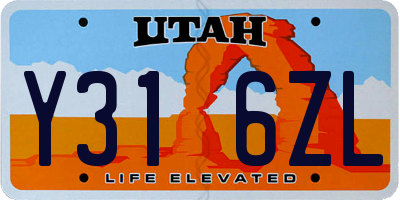 UT license plate Y316ZL