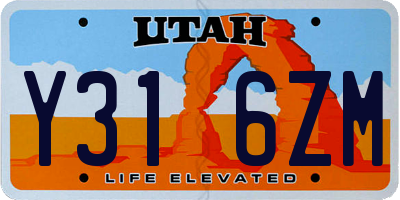 UT license plate Y316ZM