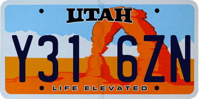UT license plate Y316ZN