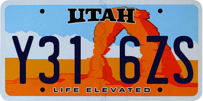 UT license plate Y316ZS