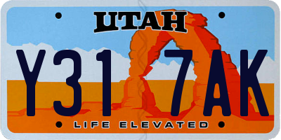UT license plate Y317AK