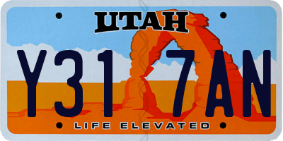 UT license plate Y317AN