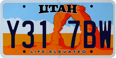 UT license plate Y317BW