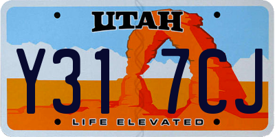 UT license plate Y317CJ