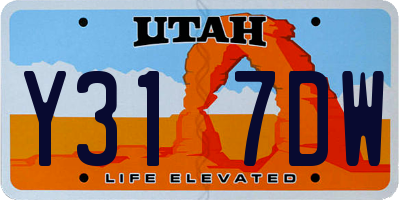 UT license plate Y317DW