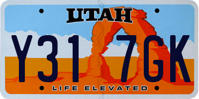 UT license plate Y317GK