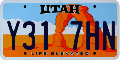 UT license plate Y317HN