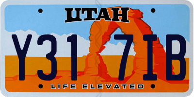 UT license plate Y317IB