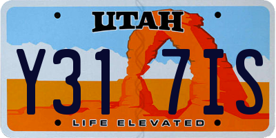 UT license plate Y317IS