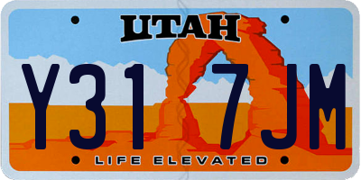 UT license plate Y317JM