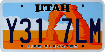 UT license plate Y317LM