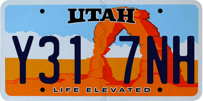 UT license plate Y317NH