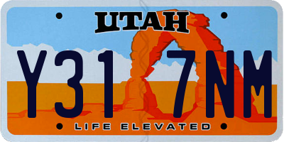 UT license plate Y317NM