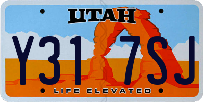 UT license plate Y317SJ